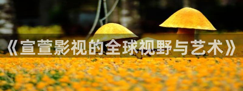 橘子視頻在線下載：《宣萱影視的全球視野與藝術》