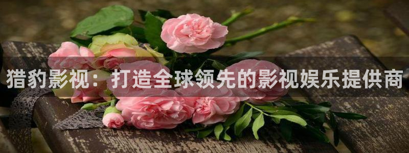 橘子和桔子有什么區(qū)別：獵豹影視：打造全球領(lǐng)先的影視娛樂提供商